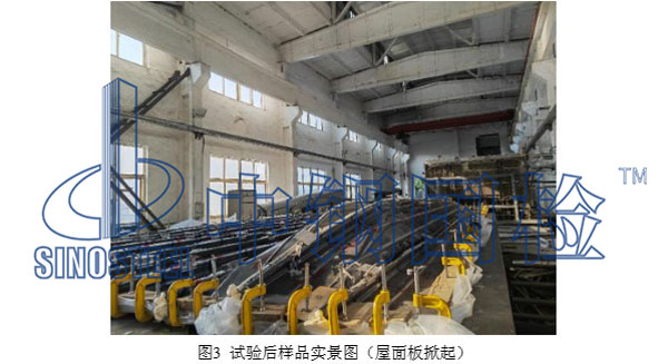試驗后樣品實景圖