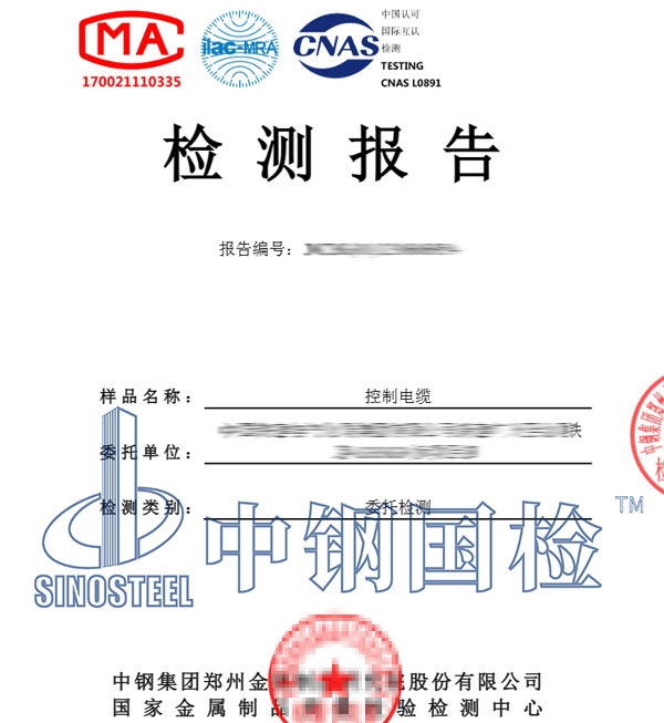 成束燃燒試驗(yàn)檢測(cè)報(bào)告